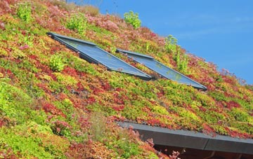 Tadden living roof systems
