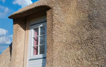 Tadden thatch roof disadvantages